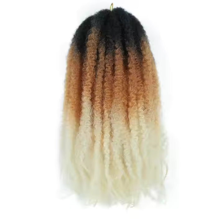Ombre Marley Braids
