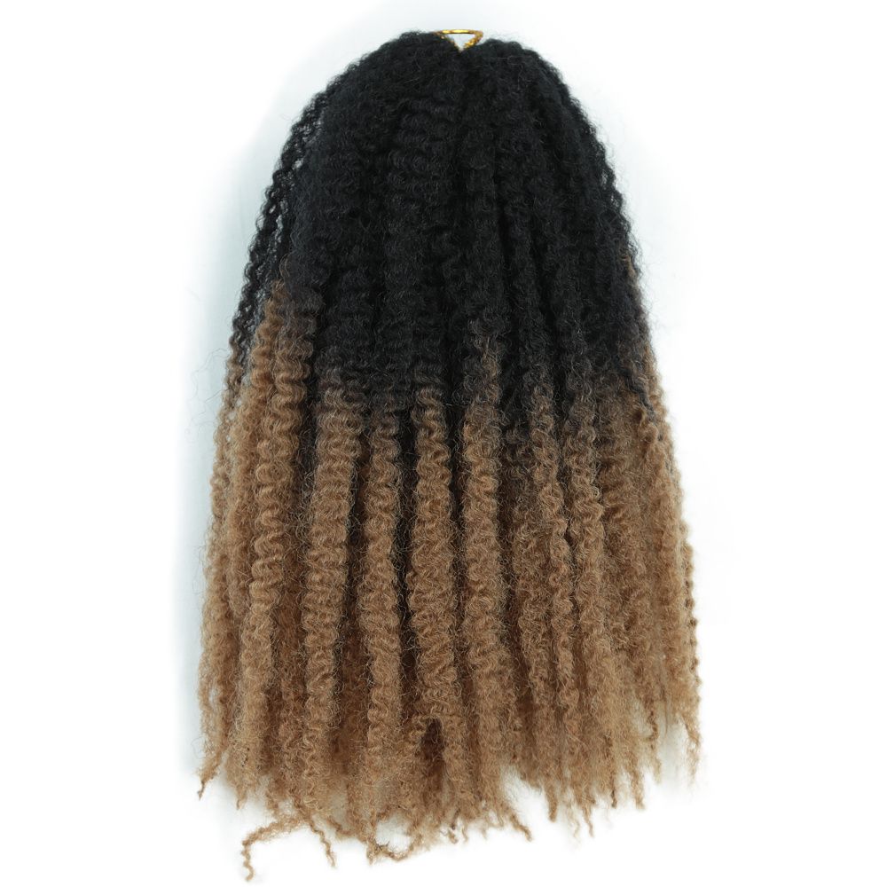 Ombre Marley Braids