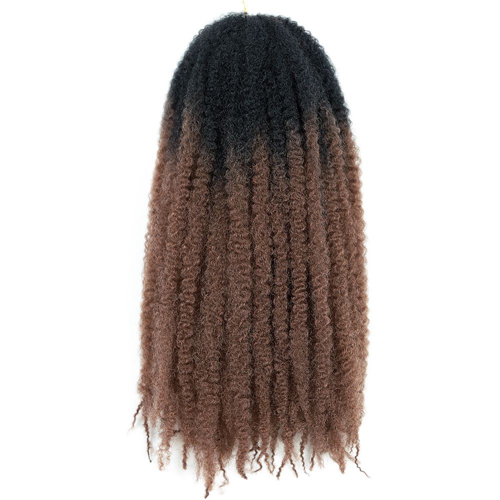 Ombre Marley Braids