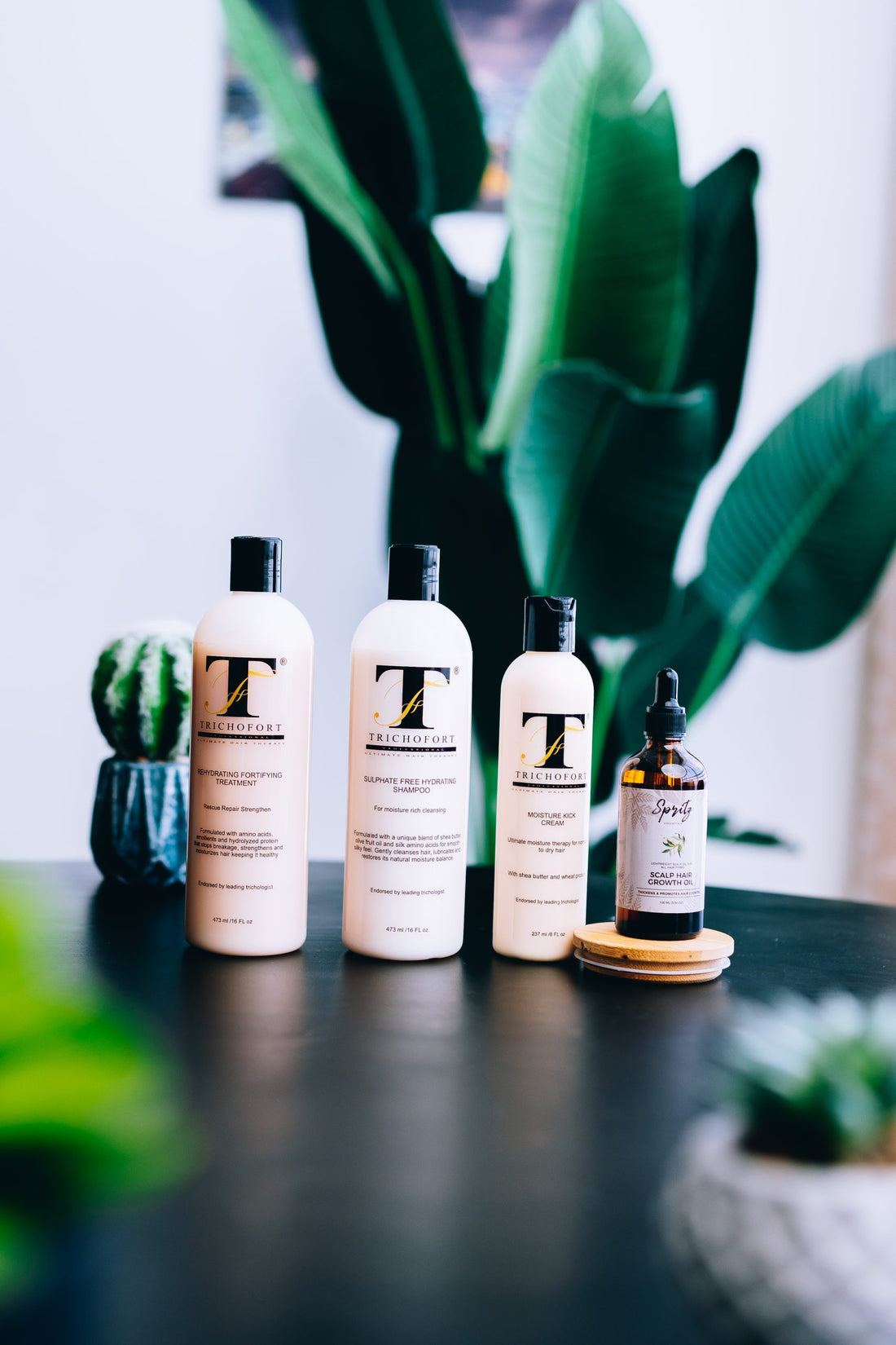 Repair and Recovery Bundle