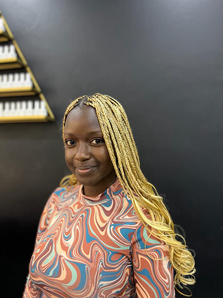 Silky Wavy Braids - Platinum blonde (27/613)