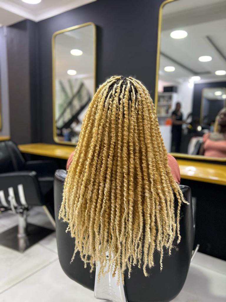 Spring Afro Bulk Twist Hair