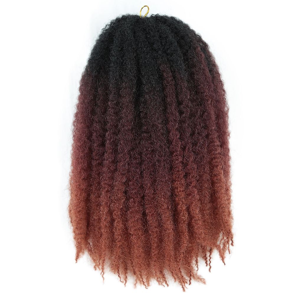 Ombre Marley Braids