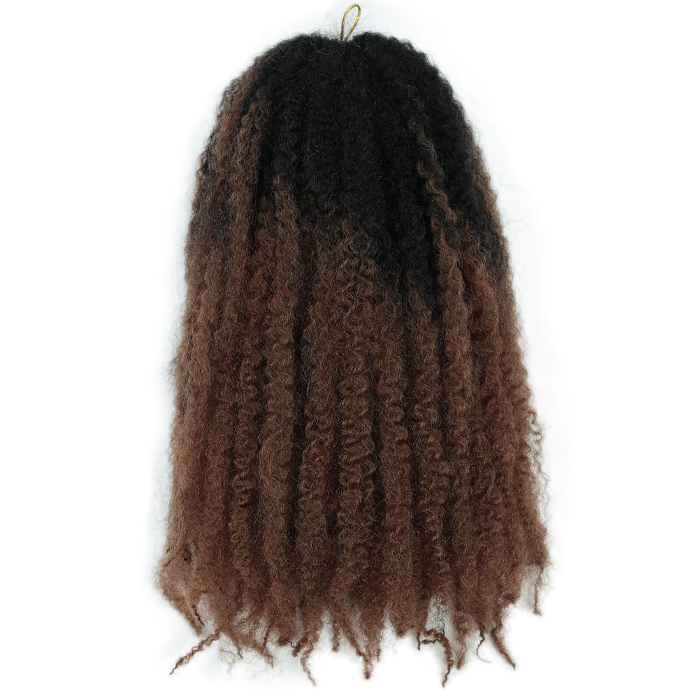 Ombre Marley Braids