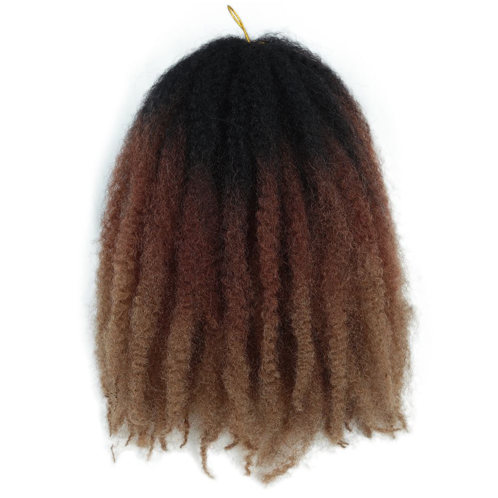 Ombre Marley Braids